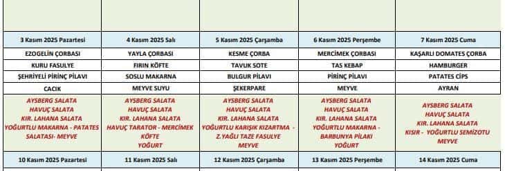 Samsun OMÜ Vakfı Koleji’nde öğrenciler yemekten zehirlendi!