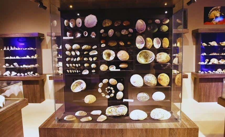 Çanakkale Piri Reis Deniz Müzesini Mutlaka Görün!