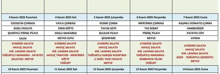 Samsun OMÜ Vakfı Koleji’nde öğrenciler yemekten zehirlendi!