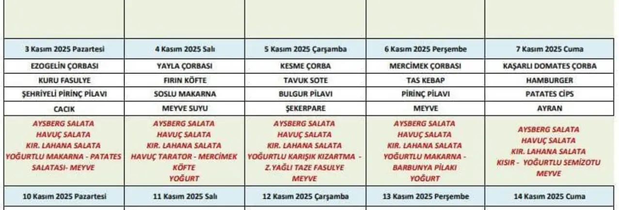 Samsun OMÜ Vakfı Koleji’nde öğrenciler yemekten zehirlendi!